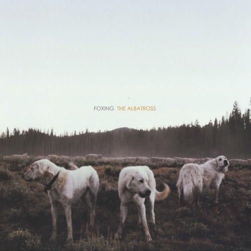 Buy – Foxing 