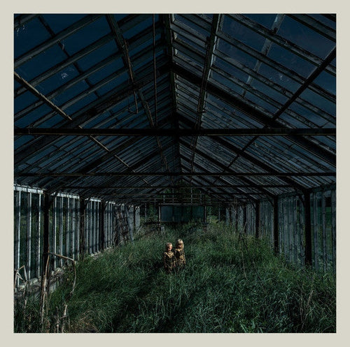 Buy – Foxing 